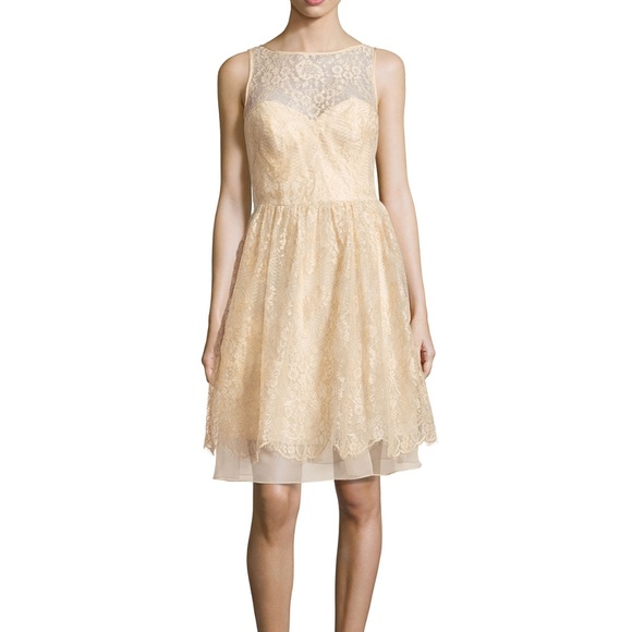 Theia Sleeveless Illusion Neck Hem Lace Dress